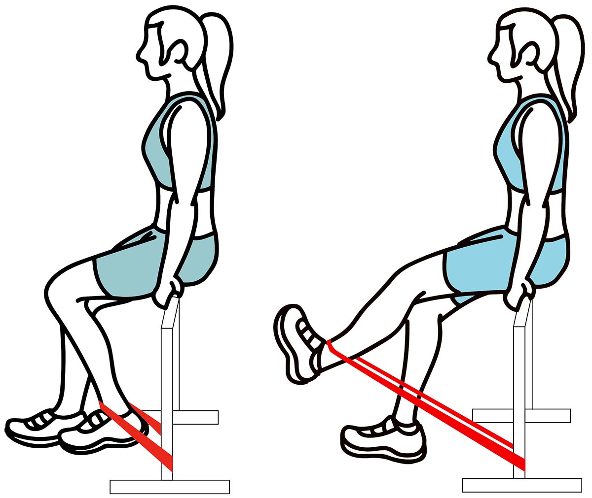 how to do Seated Leg Lifts Resistance Band