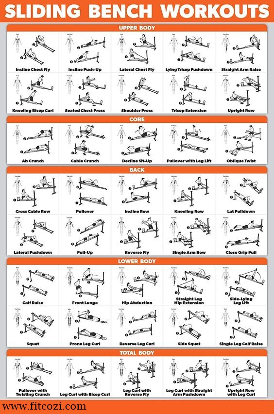 जिम एक्सरसाइज चार्ट