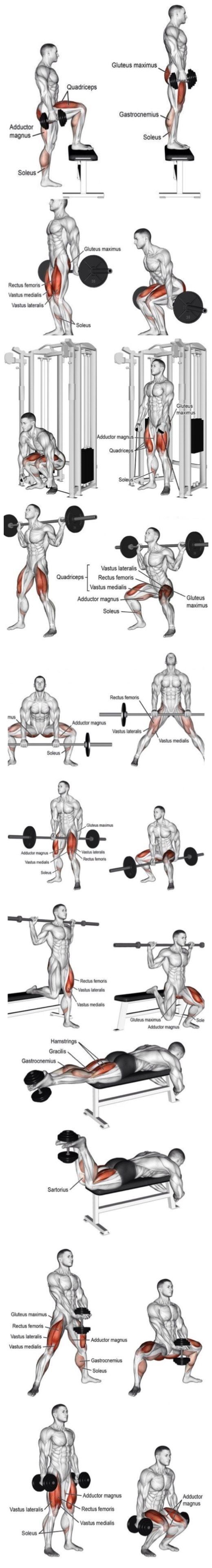 जिम वर्कआउट चार्ट इन हिंदी