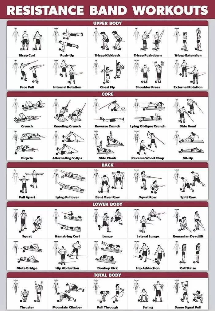 full body resistance band workout pdf