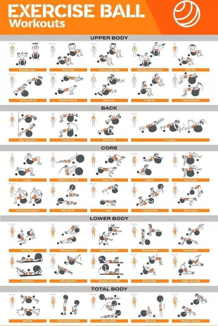 Medicine ball full body workout posters PDF