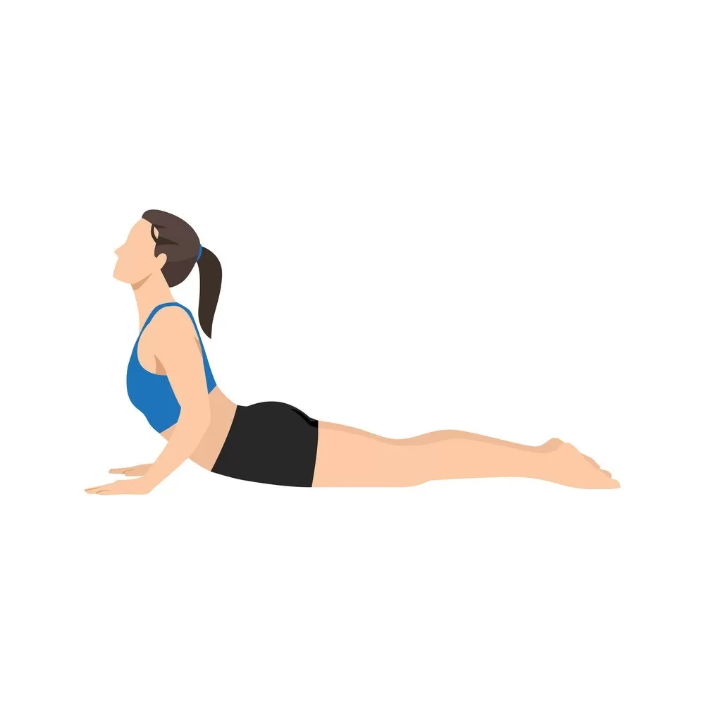 Bhujangasana