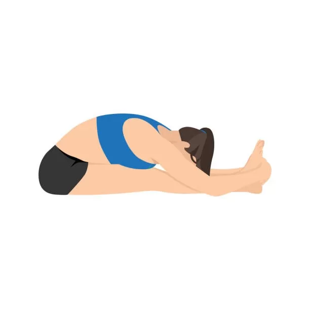 Woman doing paschimottanasana seated forward bend exercise. Flat vector illustration isolated on white background