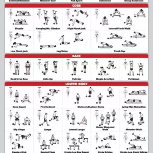 Resistance Band Exercise Chart Opdf File